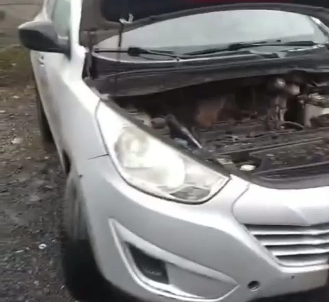 Ópticos Delanteros Rasgados y Neblineros Hyundai New Tucson - Desarmaduría Panchito Temuco